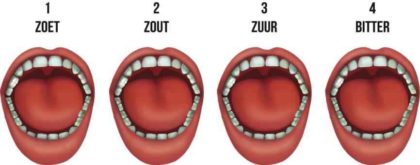 In Nederland hebben we een heuse smaakprofessor. Dat is Peter Klosse. Hij heeft veel onderzoek gedaan naar ruiken en proeven en heeft ervoor gezorgd dat je smaak ook objectief kunnen beschrijven.