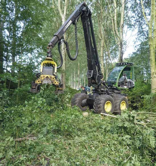 Planning en werkwijze Voorbeeld van gebleste bomen = Boom blijft staan = Boom wordt gesnoeid April-mei 2018 In april en mei wordt er geblest.