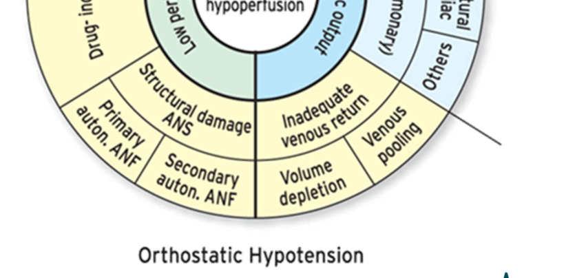 Orthostatische