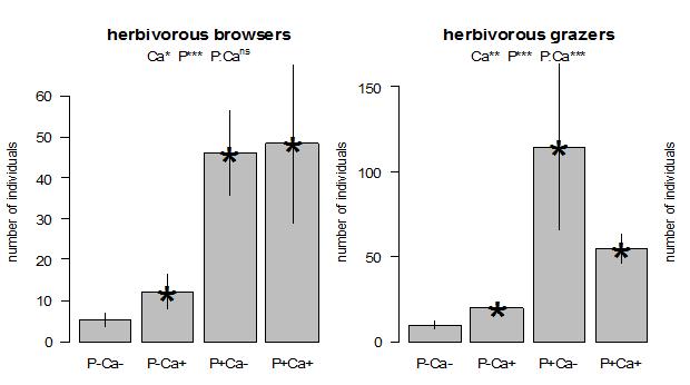 Herbivoren nemen significant toe met P toevoeging, maar minder in