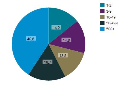 Figuur 20: Ontwikkeling aandeel werkenden bij bedrijven met 10+ werkenden dierenspeciaalzaken en detailhandel non-food Figuur 21: Werkenden naar bedrijfsgrootte dierenspeciaalzaken en detailhandel