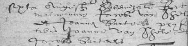 Uiteindelijk vond ik in het trouw- en in het doopboek uit 1634/1635 van de St. Petrus-parochie van Ronse een huwelijk van Jacobus van Geelen en Joanna Sarteels en een doop van twee van hun kinderen.