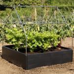 plantenbak van 100x50x25cm compleet met buizenframe voor steun van klimplanten of de beschermhoes (zie 845206).