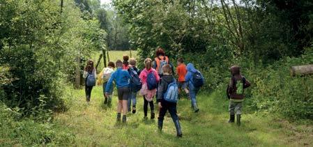 Via het bewegwijzerde Roofridderspad kan je ruim zes kilometer wandelen in de eeuwenoude voetsporen van de monniken van de abdij.