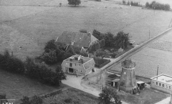 De maalderij en de Seesink molen vermoedelijk rond 1950.