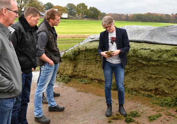 Aangezien Nederlandse kazen ook in Duitsland erg populair zijn, ontstond zo de vraag naar deze melkstroom.