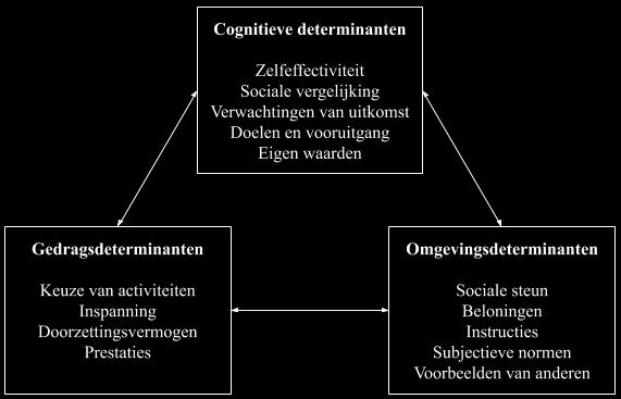 succesvol uit kan voeren (perceptie van controle over gedrag) (Ajzen, 1991; Steinmetz et al., 2016). Hoe positiever deze drie factoren, des te gemotiveerder een individu zal zijn.