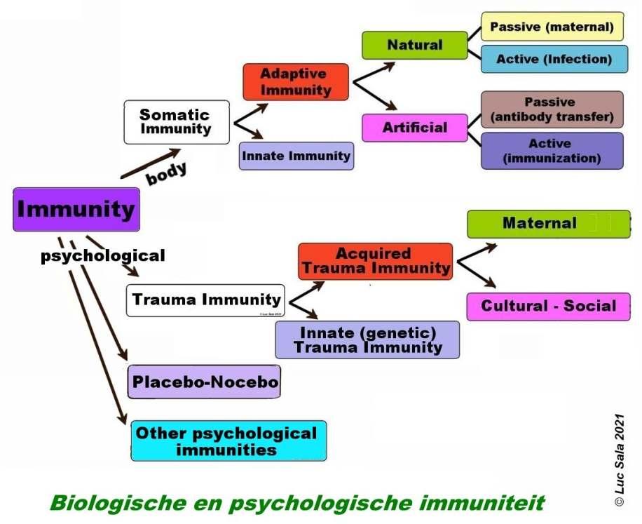 Placebo, nocebo Het is ondertussen wel bewezen dat de geest een grote rol speelt in immuniteit.