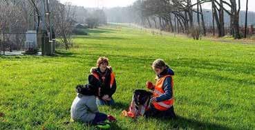 Scouting zoekt vrijwilligers Scouting Schutgraaf is al meer dan 40 jaar actief in Arnhem-Zuid en biedt elke week aan meer dan 120 leden een gevarieerd en actief programma aan.