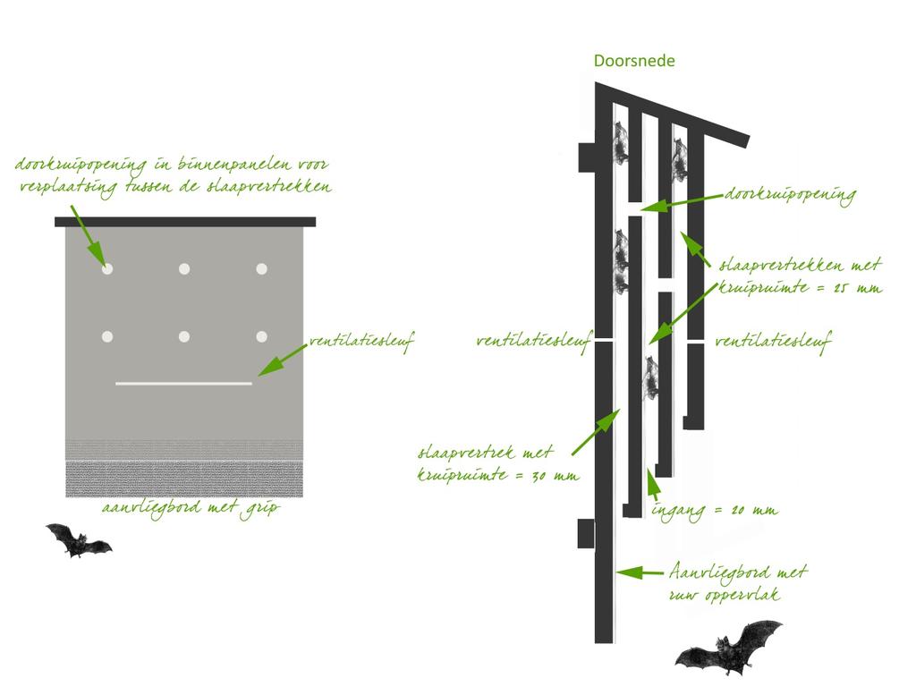 Vleermuiskast Principe van een platte vleermuiskast met
