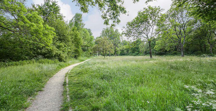 Indeling: Souterrain: eigen berging (ca.