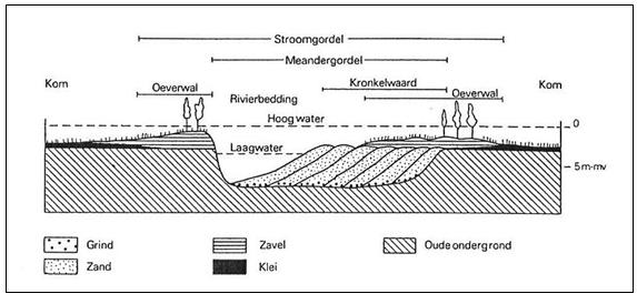 vorming komt (Broek Formatie). De Betuwe Formatie bestaat uit de door meanderende rivieren afgezette sedimenten: de stroomgordelafzettingen en de komafzettingen (zie afb. 4.
