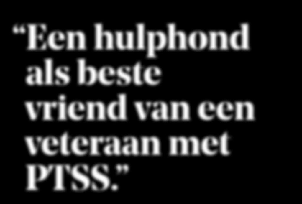 veteraan met PTSS. DR.