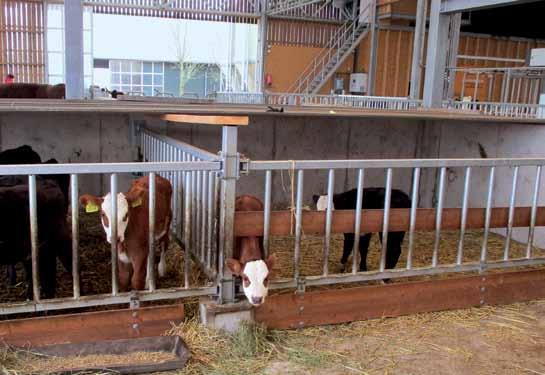 melkveehouderij Bedrijfsgegevens Natuurlijk Genoegen VOF Eigenaren Jeroen en Rosalinde Konijn Arbeid hulp van vader Theo Konijn en een scholier Areaal 80 hectare, waarvan 26 ha pacht waarvan 23 ha in