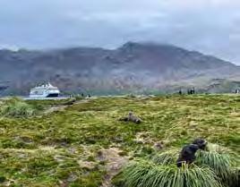 Hapag-Lloyd Cruises EXPEDITIECRUISE ANTARCTICA En toen verlieten we de bewoonde wereld et ontembare Antarctica trotseren, je droomt er misschien al je hele leven van.