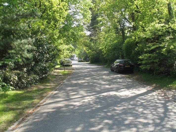 De Van Ostadelaan is een ongeveer 5.00m brede weg zonder een trottoir met aan weerszijden bomenrijen en bermen tot aan de perceelsgrenzen. In de berm wordt geparkeerd.