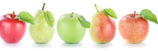 Wat is de herkomst van appels met peren vergelijken? Je kan geen appels met peren vergelijken! Iedereen heeft deze uitspraak wel eens gehoord in een goede discussie. Maar, wat betekent het eigenlijk?