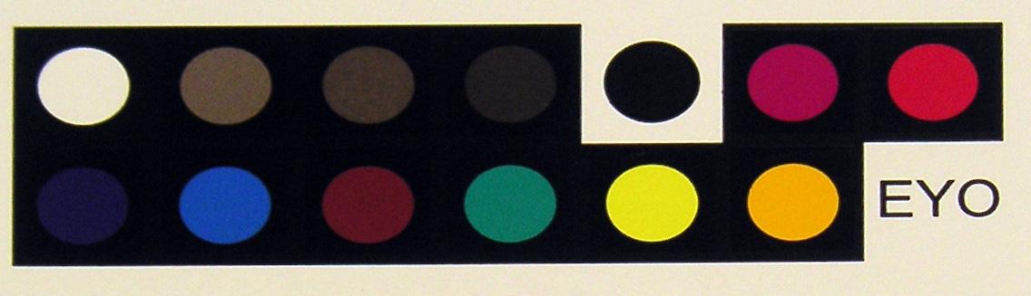 Kleurmeting: evaluatie spectrofotometers Nauwkeurigheid Kan de spectraalmeter kleur voldoende nauwkeurig meten?