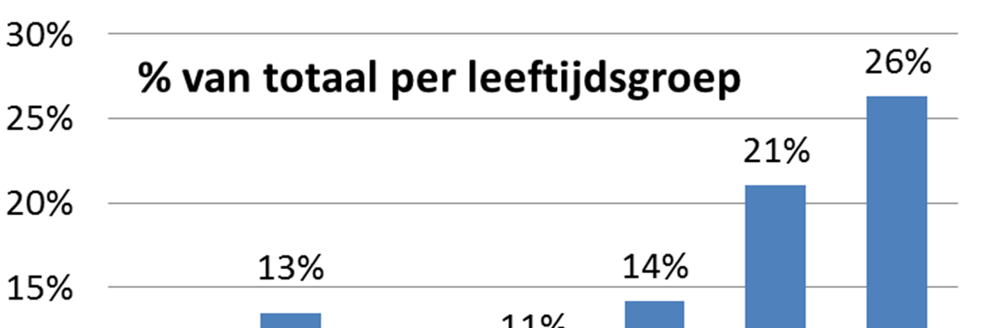 6.2 Secundaire doelgroep ( 34.678) Kenmerken huishoudens Huishoudens met een belastbaar inkomen tot 34.678, de zogenoemde Europagrens, niet behorende tot de primaire doelgroep.