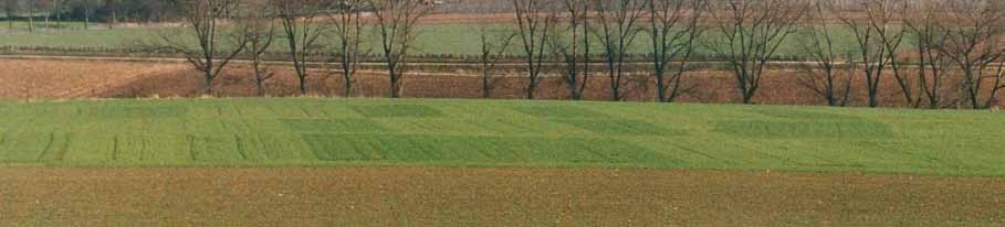 Het kenmerk ploïdie had op de belangrijkste bewortelingsparameters een zeer significant effect.