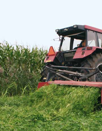 Hoe groeit gras? Meerjarige grassen hebben zich in de evolutie door middel van twee mechanismen aangepast aan grazers: 1.