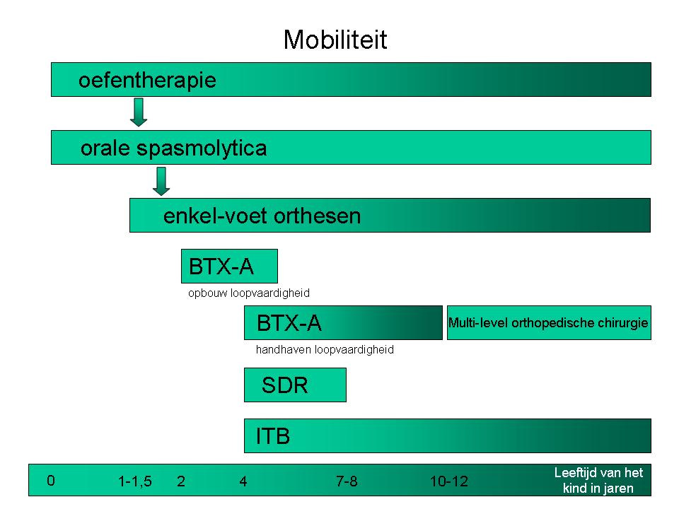 Figuur 8.1. Planning van de behandeling gericht op verbetering van mobiliteit BTX-A botulinetoxine-a behandeling, ITB intrathecale baclofentherapie, SDR selectieve dorsale rhizotomie.