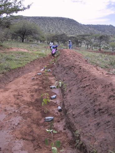 Op de afbeelding kun je zien hoe mensen dit ontwerp in de praktijk aanleggen in Afrika. Het zo efficiënt mogelijk benutten van het water wordt in de permacultuur ook wel water harvesting genoemd.