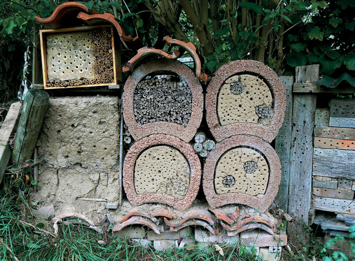 Bijen die in het voorjr hun nesten mken heen wel veel succes, omdt de cocons l gevormd zijn voordt het te heet wordt.
