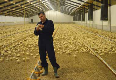 Dick Schieven, vleeskuikenhouder Duurzame productie in de modernste stal Duurzaam produceren begint voor Dick Schieven met energiebesparing.