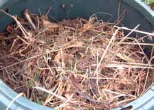 Composteren is een gecontroleerd biologisch proces waarbij micro-organismen en kleine ongewervelde organismen keukenen tuinresten (in aanwezigheid van zuurstof en vocht) omzetten in een humus- en