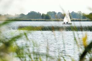 Ondiepe wateren en veenweidegebieden Nederland kent een groot aantal ondiepe watersystemen, zoals meren en plassen, maar ook talrijke sloten en kanalen, kenmerkend voor veenweidegebieden.
