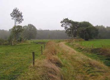 244 14.2.6 Grenswallen (inclusief landweren ) Bij grenswallen gaat het om het afgrenzen van administratieve of juridische eenheden die groter zijn dan bos- of landbouwpercelen, zoals landgoederen,