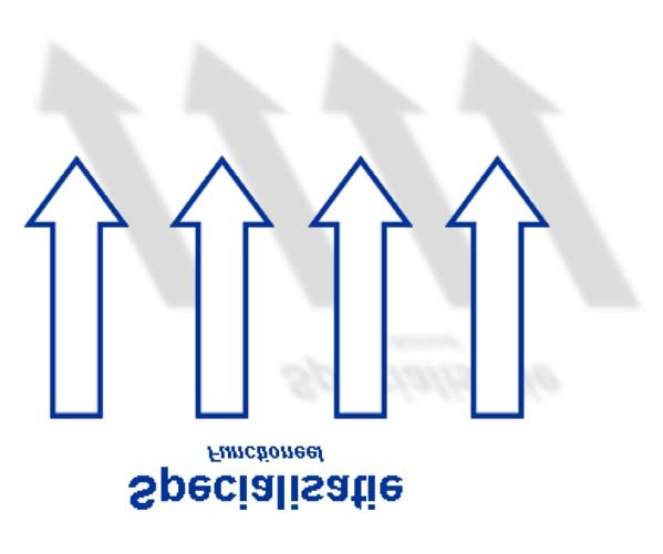 87 verticale functiespecialisatie die zich voordoet bij de inrichting van elke grotere organisatie. Deze specialisatie maakt altijd een horizontale integratie dwarskracht noodzakelijk.