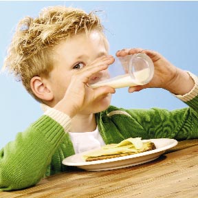 Terug naar de gezonde basis, campagne ter preventie van overgewicht bij kinderen in Nederland Prevalentie, diagnose, preventie en behandeling Overgewicht bij schoolkinderen in Nederland Eén op de