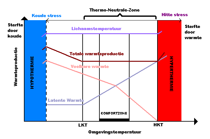 respiratie. De latente warmteafgifte of evaporatieve verliezen zijn bij lage temperatuur laag en nagenoeg constant, bij toenemende temperatuur nemen ze rechtlijnig toe.