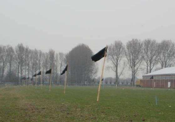 Verstoring van nesten dient te allen tijde voorkomen te worden. Bij aanwezigheid van nesten dient door een ter zake kundige een passende maatregel getroffen te worden.