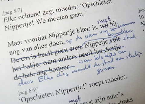 De schrijver laat de tekst aan andere mensen lezen om te zien of zij het ook een leuk verhaal vinden. Misschien verandert hij er nog wat aan.