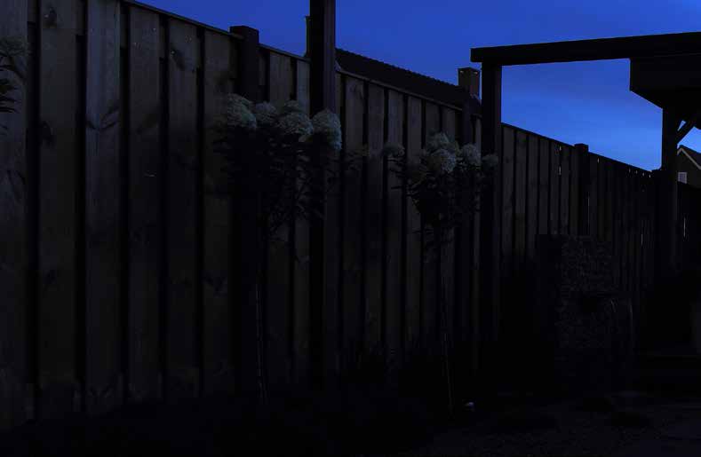 Met ons assortiment LED buitenverlichting kun je een complete tuin verlichten.