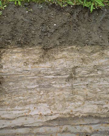 Grovere houtachtige organische stof in de ondergrond geeft meer lucht en ruimte voor wortelgroei, maar ook droogtescheuren zijn hiervoor belangrijk.