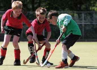 Spelen Sportief fundament Leren trainen Trainen voor omvang Trainen voor hoog niveau Trainen om te winnen Zorg voor efficiency in plaats van bureaucratie De financiering van de topsport wordt