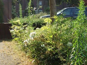 Met de nieuwe wet Werken naar Vermogen, die meer gericht is op decentralisatie, in aankomst, achten wij het zeer belangrijk dat er binnenkort een fundamentele discussie gaat plaatsvinden over de