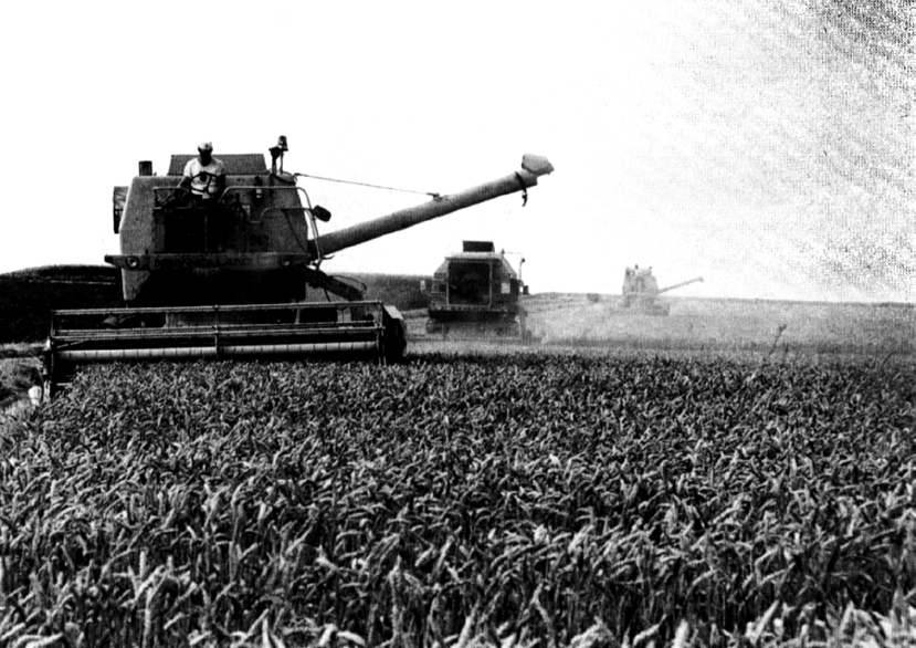 DE HONGER VOORBIJ Toen in 1945 de Tweede Wereldoorlog eindigde, vroeg de bevolking meer dan ooit voedselzekerheid. Men wilde de garantie ten allen tijde over voldoende voedsel te beschikken.