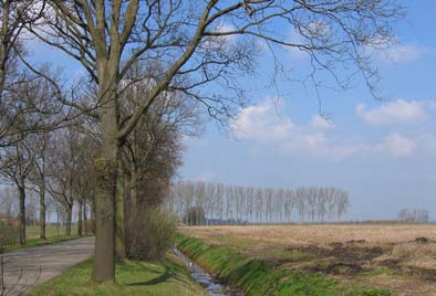 Omgeving Verlengde Veenlaan De Veenlaan is een oud