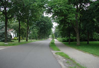 Bij ieder huis hoort een langgerekt perceel dat zich van de weg uitstrekt naar het open landschap. In de loop der tijd is het verkavelingpatroon minder kleinschalig geworden.