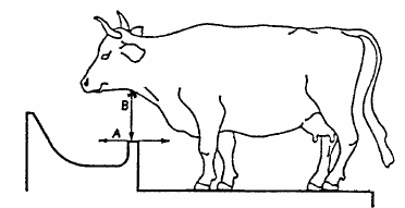 42 Bindsystemen Ideale bindsystemen houden de koeien zonder ze te kwetsen op de gewenste plaats, maar laten toch voldoende bewegingsvrijheid toe om op een comfortabele manier te staan, te liggen, te