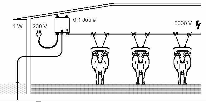 De voorwaarden en aanbevelingen met betrekking tot het gebruik van de koetrainer zijn: De koetrainer mag niet gebruikt worden voor standen die korter zijn dan 1,75 m.