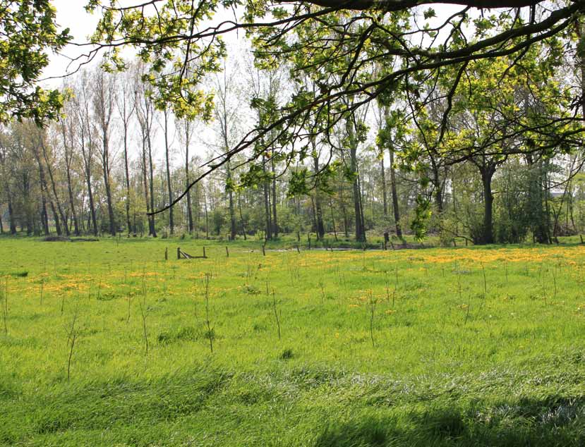 Van onder meer gewone vogelkers, sleedoorn, rode kornoelje en hazelaar wordt er gecertificeerd inheems zaad geoogst om te verspreiden in de Vlaamse bossen.