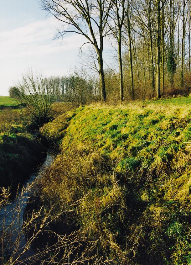 Het subsidiebesluit voor gemeenten Gemeenten kunnen sinds de goedkeuring van het Erosiebesluit (Besluit van de Vlaamse regering van 7 december 2001 houdende de subsidiëring van de kleinschalige