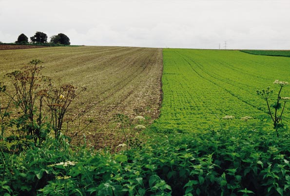 Braaklegging Instrumenten In het kader van het Europees Gemeenschappelijk Landbouwbeleid krijgen akkerbouwers een subsidie per hectare (bv. 418,32 EUR/ha.jaar in de leemstreek voor het jaar 2002).