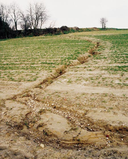 Bodemerosie... wat en waar? Bodemerosie is een proces waarbij bodemdeeltjes (sediment) losgemaakt en verplaatst worden door water, ijs, wind of bodembewerking.
